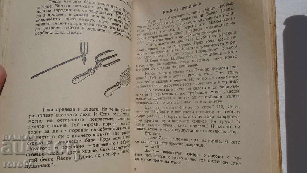 THE MIRACLES IN THE BEDS - N. NADEZHDINA - 5 THE MIRACLES IN THE BEDS - N. NADEZHDINA - 5