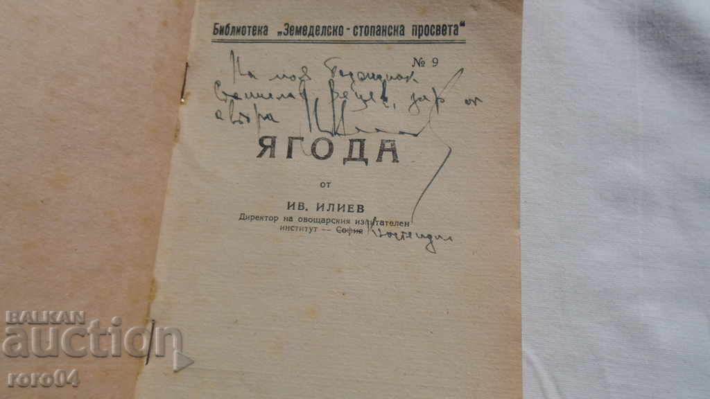 Auction BERRIES - IVAN ILIEV Auction BERRIES - IVAN ILIEV