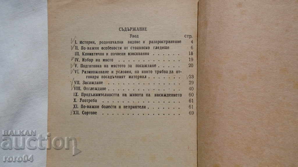 BERRIES - IVAN ILIEV - 7 BERRIES - IVAN ILIEV - 7