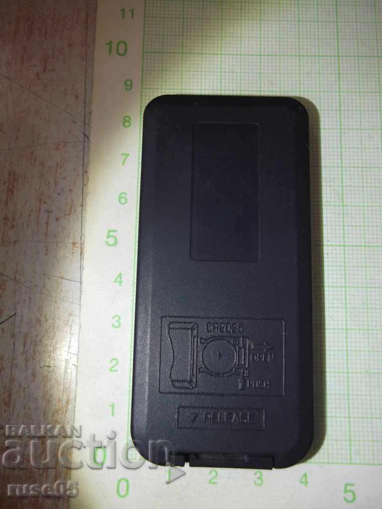 Auction  Remote working - 1