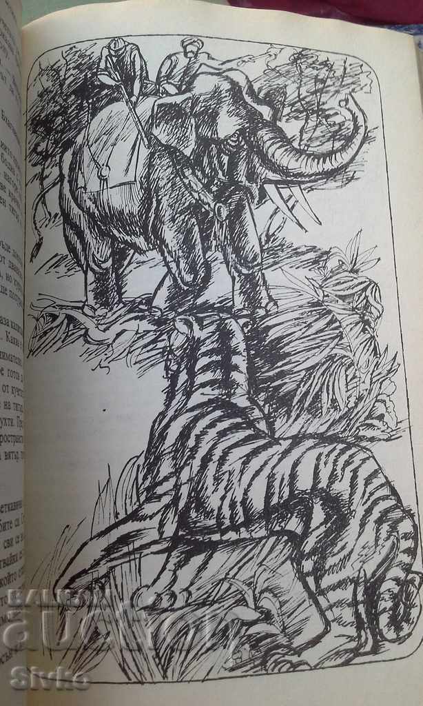 Auction Secrets of the Black Jungle illustrations Auction Secrets of the Black Jungle illustrations