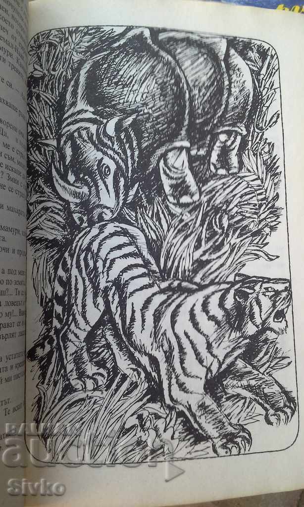 Secrets of the Black Jungle illustrations - 6 Secrets of the Black Jungle illustrations - 6