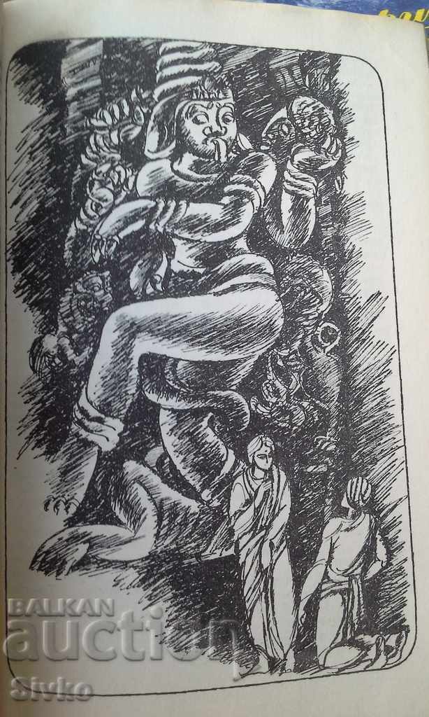 Secrets of the Black Jungle illustrations - 7 Secrets of the Black Jungle illustrations - 7