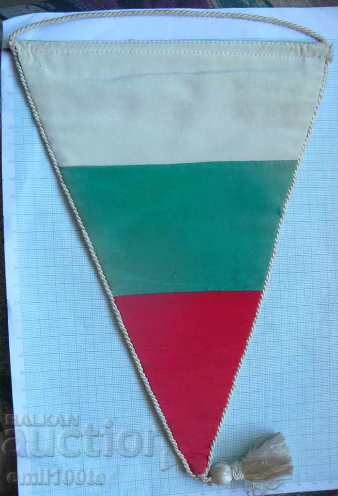 SPS flag Academician VMEI - 5 SPS flag Academician VMEI - 5