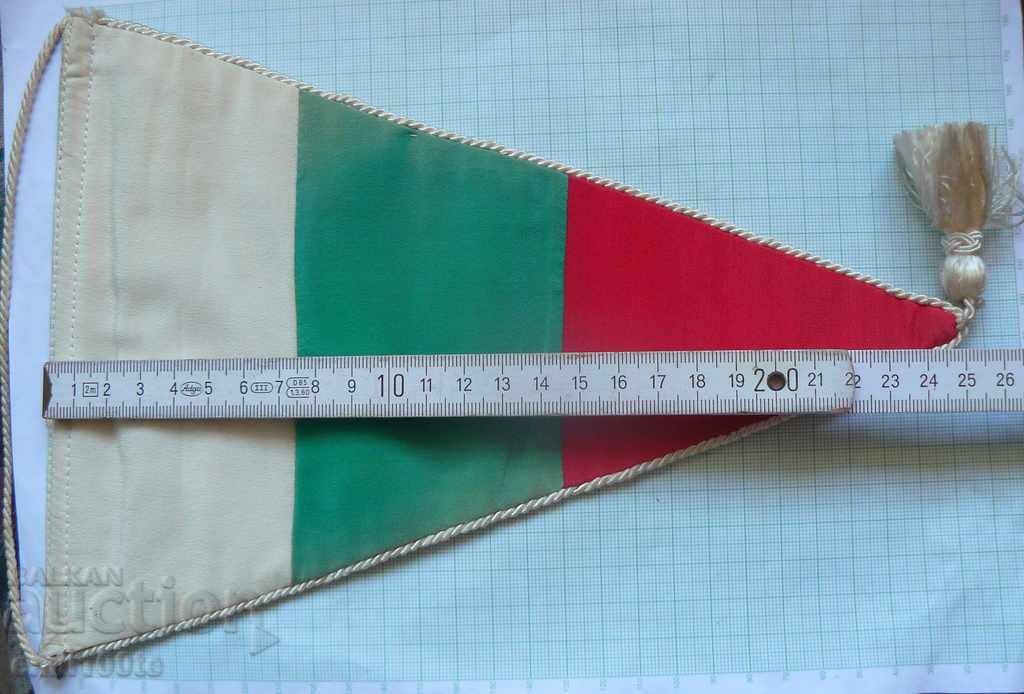 SPS flag Academician VMEI - 6 SPS flag Academician VMEI - 6