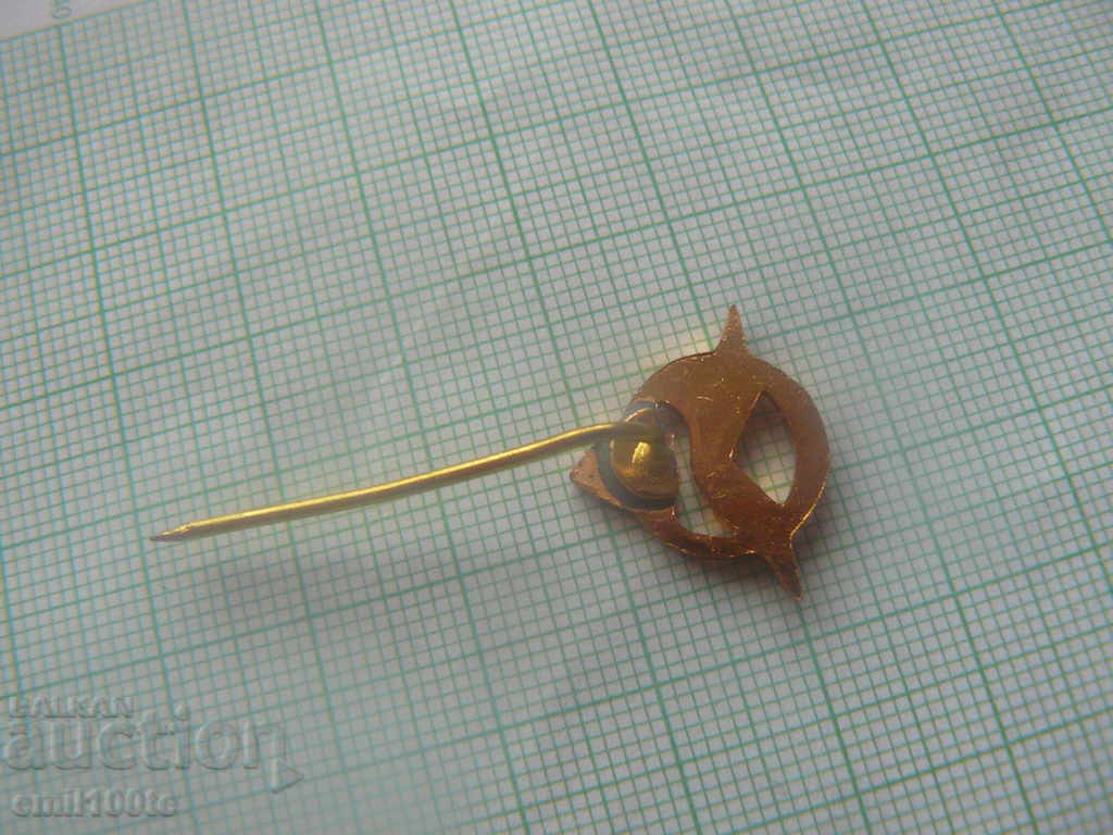 Flag and badge Romania FAR Federatia Aeronautica Romana - 6 Flag and badge Romania FAR Federatia Aeronautica Romana - 6