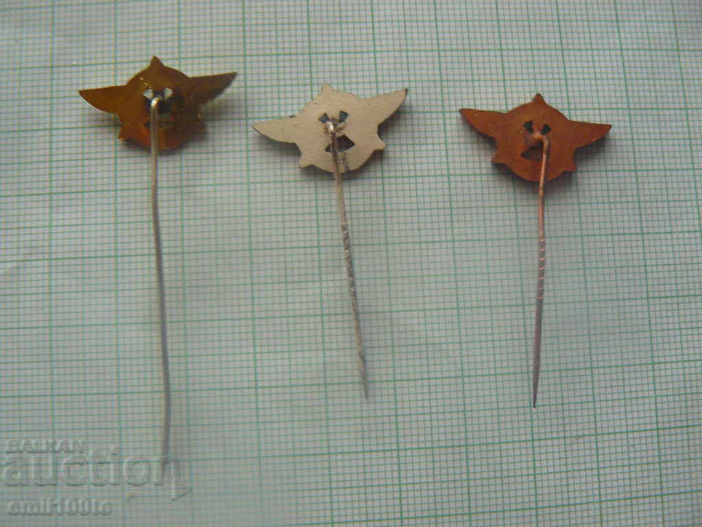 Badges Gold Silver Bronze completed course Aviation Club GDR - 5