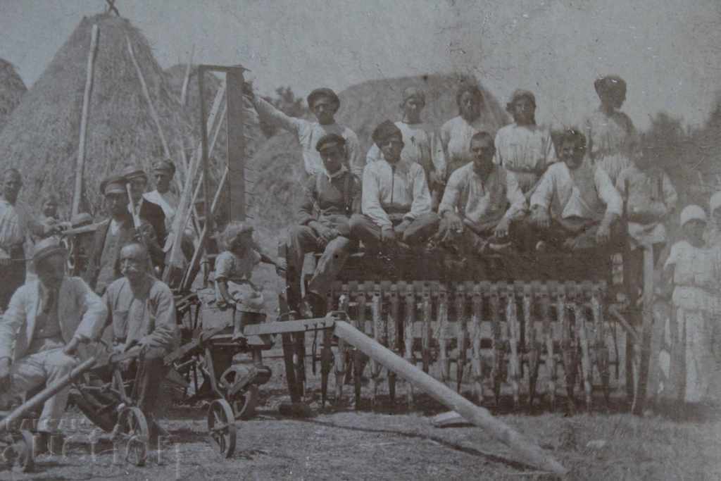 Доставка на ГОРНООРЯХОВСКИ МОСТРЕН ПАНАИР ЦАРСТВО СНИМКА КАРТОН Доставка на ГОРНООРЯХОВСКИ МОСТРЕН ПАНАИР ЦАРСТВО СНИМКА КАРТОН