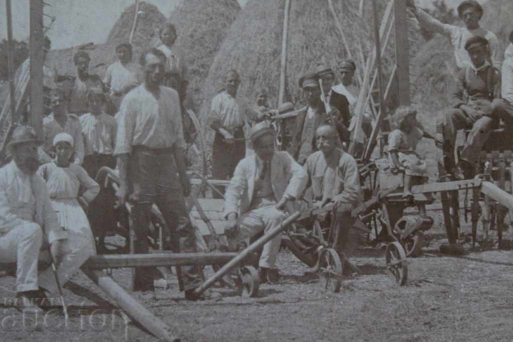 ГОРНООРЯХОВСКИ МОСТРЕН ПАНАИР ЦАРСТВО СНИМКА КАРТОН - 5 ГОРНООРЯХОВСКИ МОСТРЕН ПАНАИР ЦАРСТВО СНИМКА КАРТОН - 5