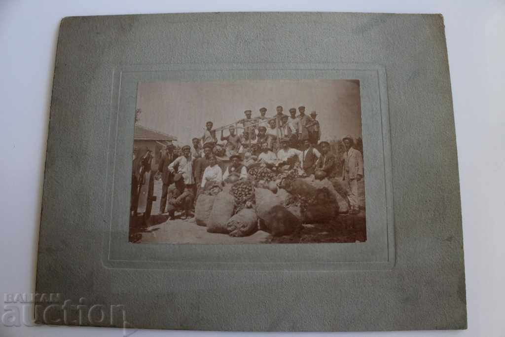 ГОРНООРЯХОВСКИ МОСТРЕН ПАНАИР ЦАРСТВО СНИМКА КАРТОН с цена 95.00 лв. | € 48.57 ГОРНООРЯХОВСКИ МОСТРЕН ПАНАИР ЦАРСТВО СНИМКА КАРТОН с цена 95.00 лв. | € 48.57