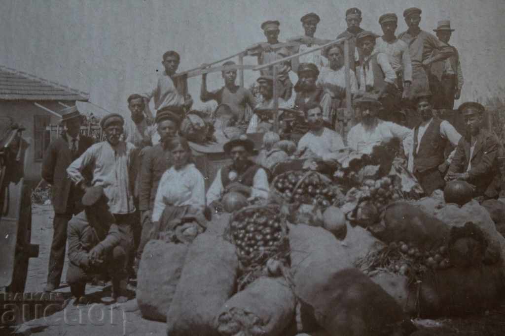 ГОРНООРЯХОВСКИ МОСТРЕН ПАНАИР ЦАРСТВО СНИМКА КАРТОН - 5 ГОРНООРЯХОВСКИ МОСТРЕН ПАНАИР ЦАРСТВО СНИМКА КАРТОН - 5