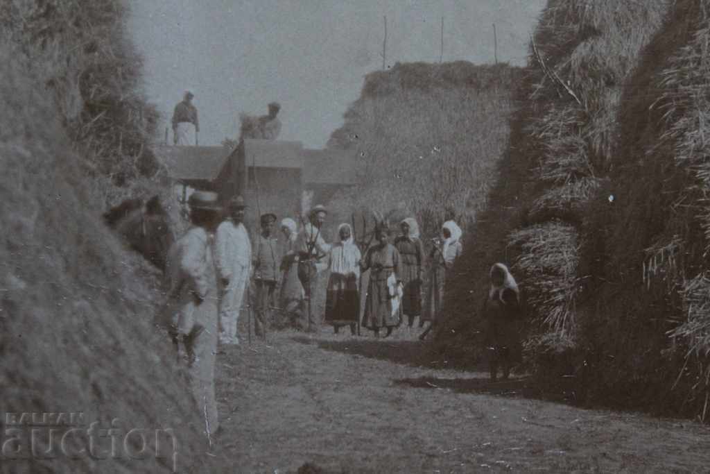 Доставка на ГОРНООРЯХОВСКИ МОСТРЕН ПАНАИР ЦАРСТВО СНИМКА КАРТОН Доставка на ГОРНООРЯХОВСКИ МОСТРЕН ПАНАИР ЦАРСТВО СНИМКА КАРТОН