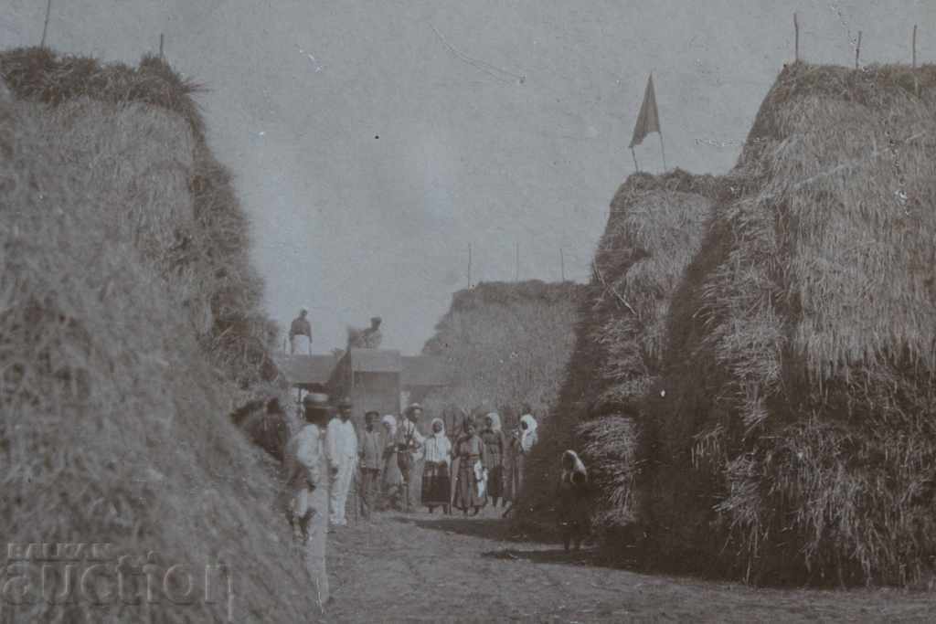 ГОРНООРЯХОВСКИ МОСТРЕН ПАНАИР ЦАРСТВО СНИМКА КАРТОН - 5 ГОРНООРЯХОВСКИ МОСТРЕН ПАНАИР ЦАРСТВО СНИМКА КАРТОН - 5