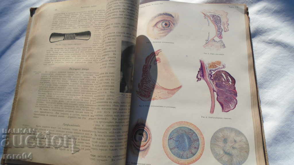 Guide to Eye Diseases - Prof. P. Roemer - 6