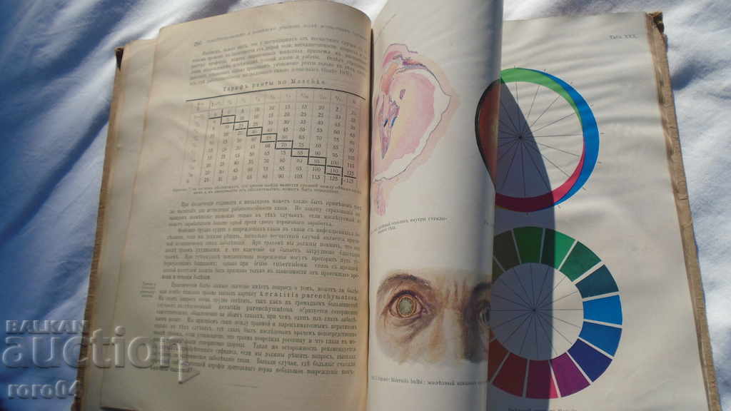 Guide to Eye Diseases - Prof. P. Roemer - 7