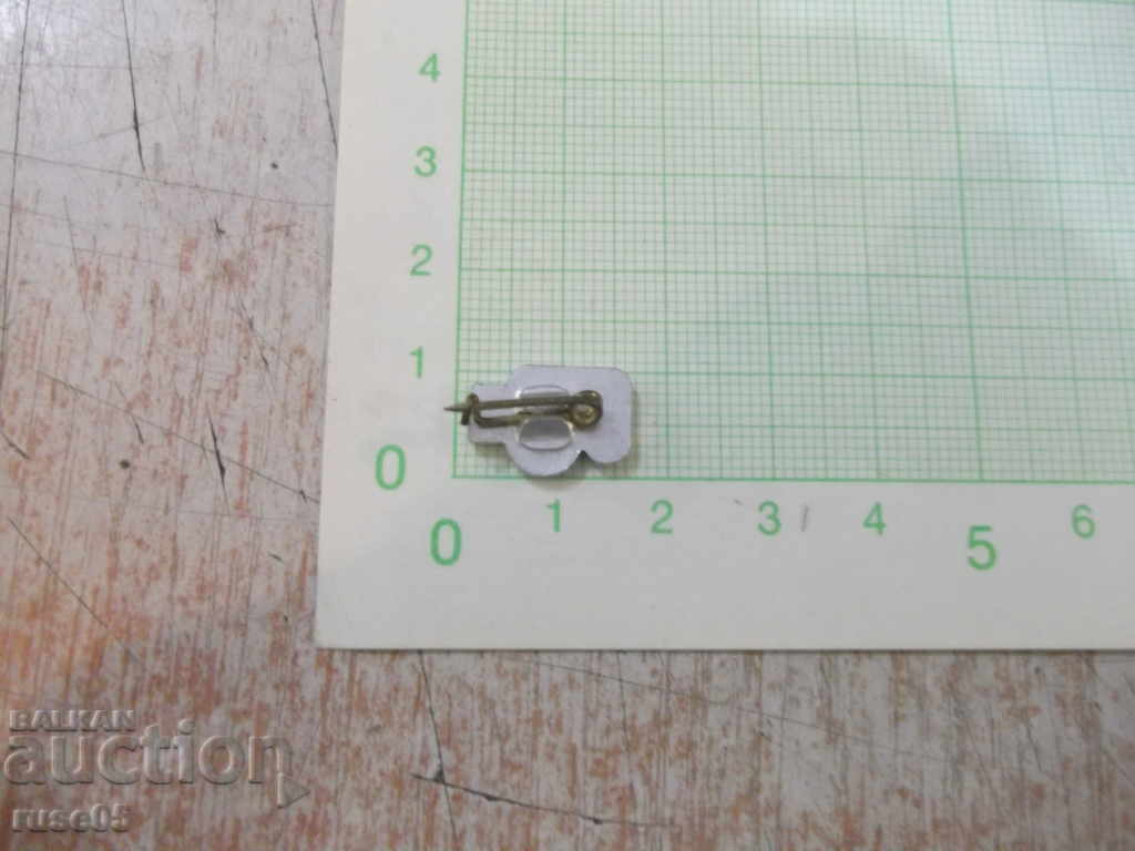 Auction Badge - 22 Auction Badge - 22