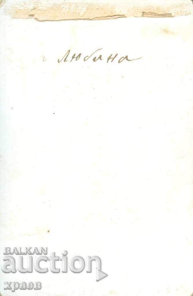 OLD PHOTO - CARDBOARD - LUBINA - 0888 with price 24.99 BGN | € 12.78 OLD PHOTO - CARDBOARD - LUBINA - 0888 with price 24.99 BGN | € 12.78