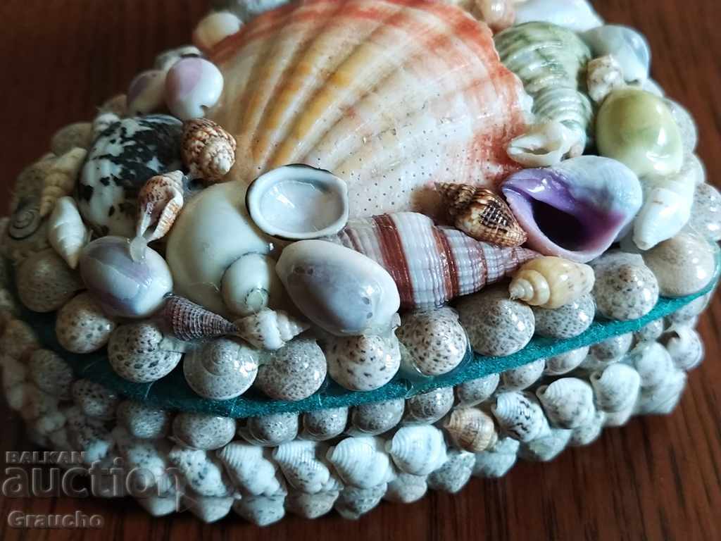A "trinket" box with exotic shells - 5