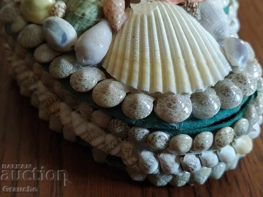 A "trinket" box with exotic shells - 6