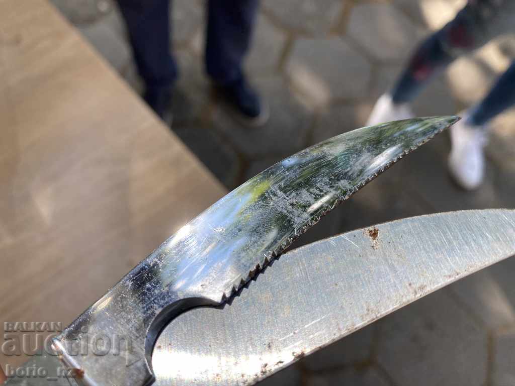 10392. Old cooking scissors marked - 5 10392. Old cooking scissors marked - 5