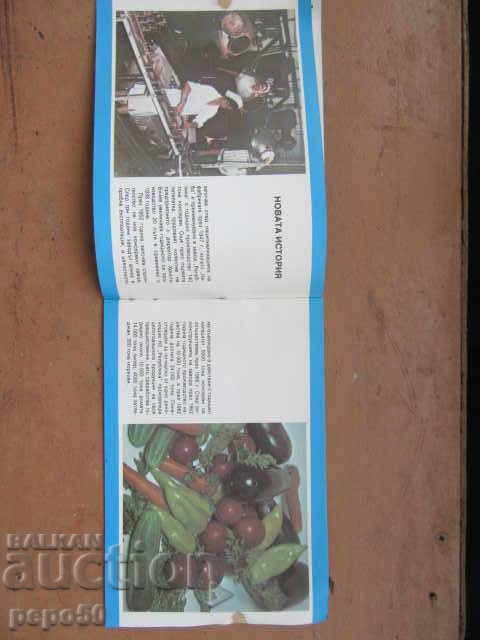 Auction 50th CANNING PLANT "REPUBLIC"-Svishtov - 1988/4/ Auction 50th CANNING PLANT "REPUBLIC"-Svishtov - 1988/4/