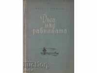 Дъга над равнината