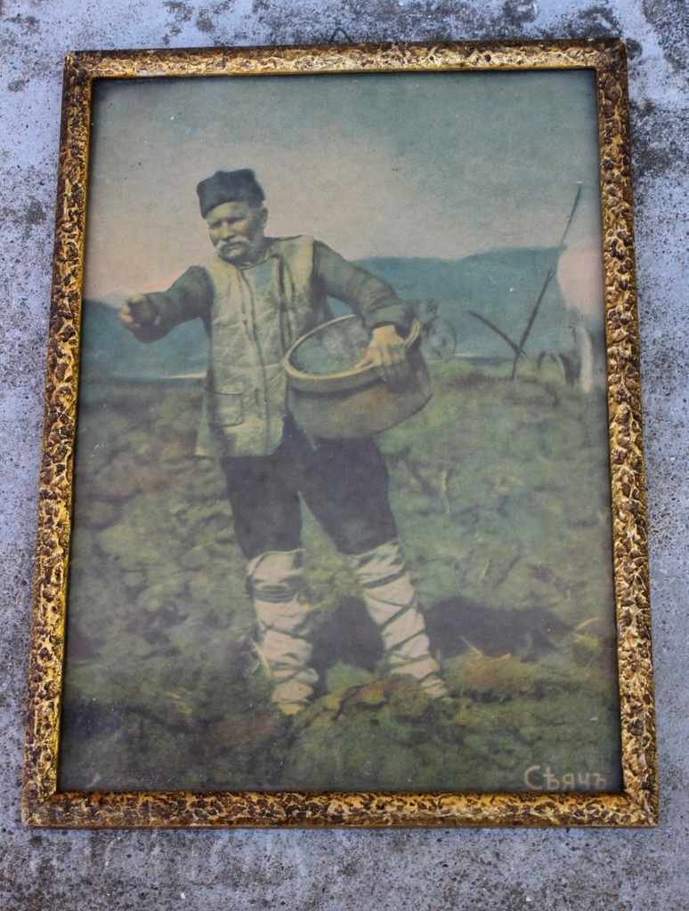 SOWER REPRODUCTION PHOTO POSTER FRAME KINGDOM BULGARIA