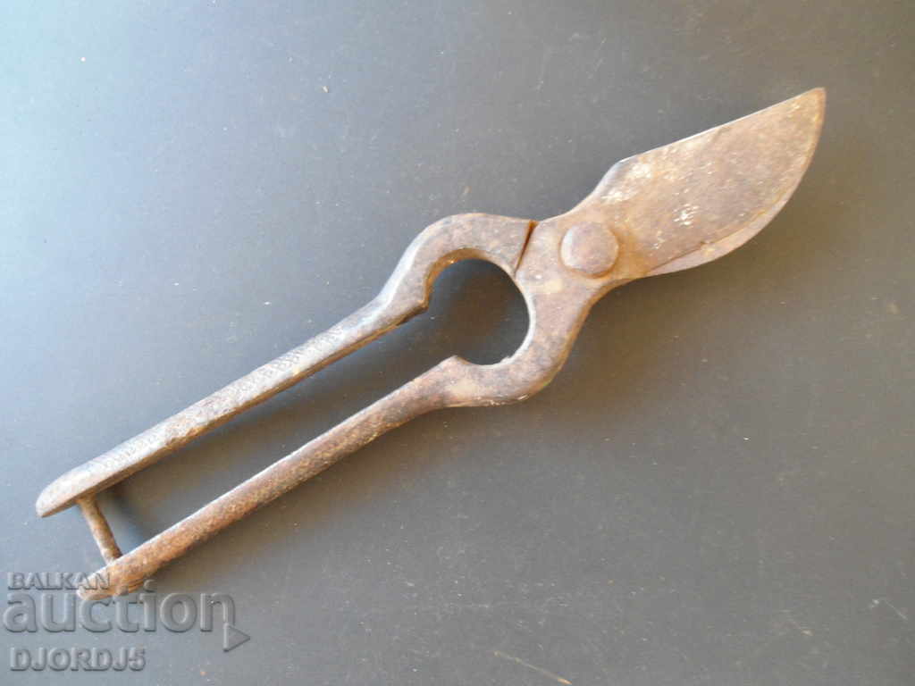 Auction Old viticulture scissors Auction Old viticulture scissors