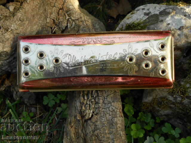 Auction Accordion weltmeister Auction Accordion weltmeister