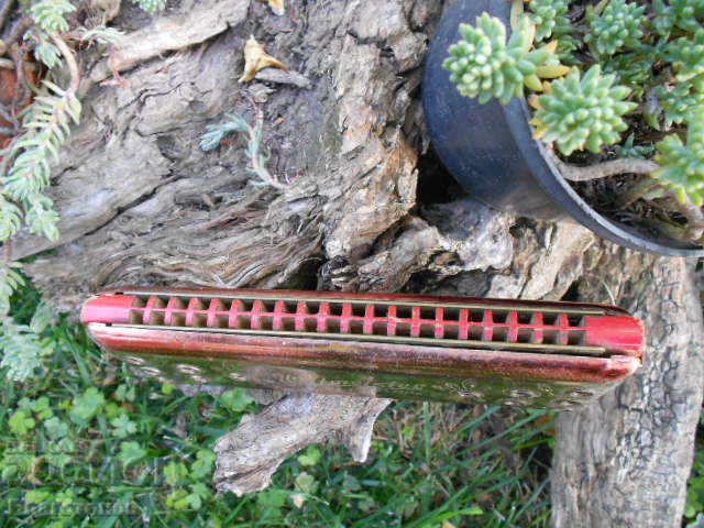 Accordion weltmeister - 6 Accordion weltmeister - 6