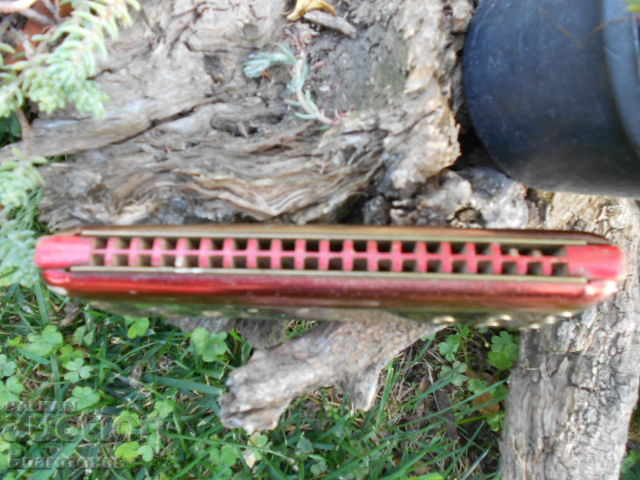 Accordion weltmeister - 7 Accordion weltmeister - 7