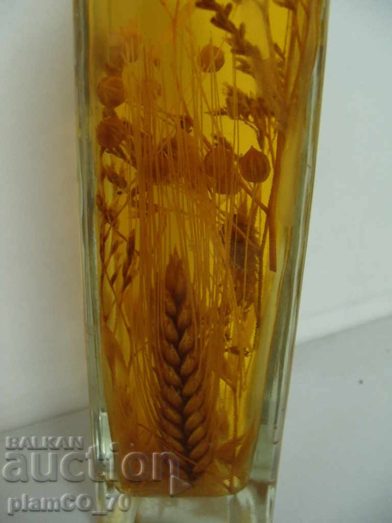 Auction № * 4568 old decoration - bottled plants Auction № * 4568 old decoration - bottled plants