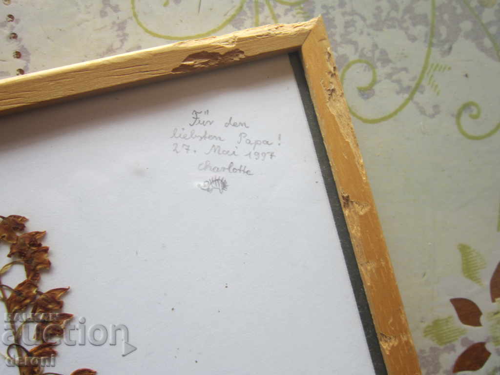 Auction Old painting Herbarium in Frame Auction Old painting Herbarium in Frame