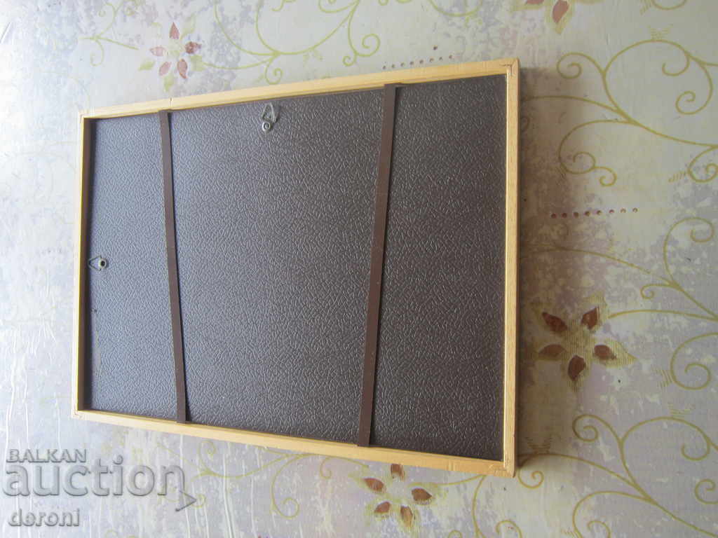 Old painting Herbarium in Frame - 5 Old painting Herbarium in Frame - 5