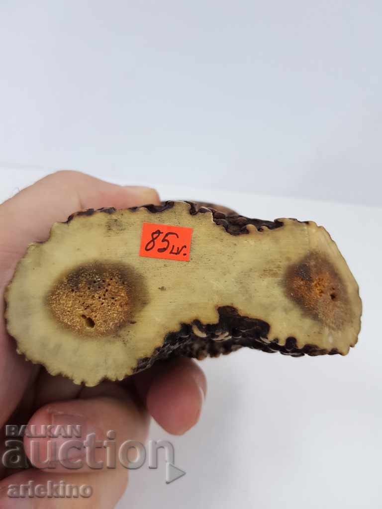 Old collector's table lighter with deer antler - 5 Old collector's table lighter with deer antler - 5