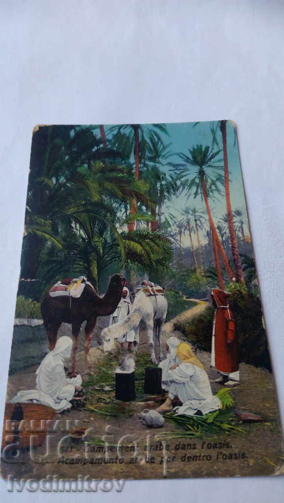 Καρτ ποστάλ Κάμπινγκ arabe dans l'oasis