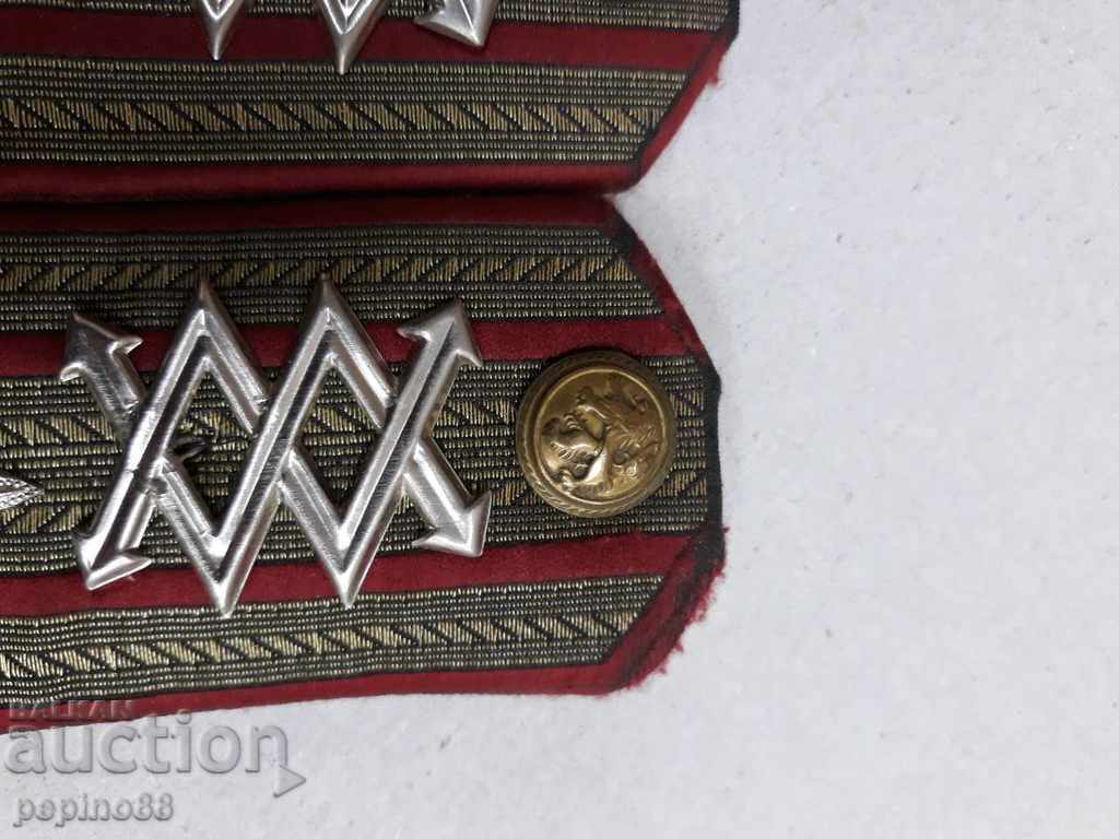 ROYAL PAGONI ΕΠΙΚΟΙΝΩΝΙΑΚΟ ΣΥΣΤΗΜΑ - 5 ROYAL PAGONI ΕΠΙΚΟΙΝΩΝΙΑΚΟ ΣΥΣΤΗΜΑ - 5