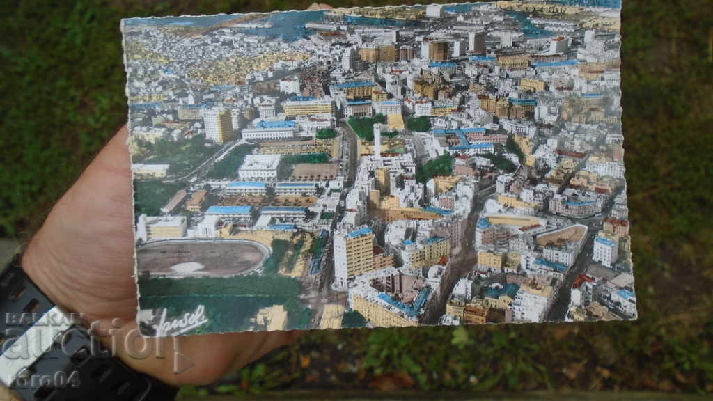 Auction CASABLANA - BEAUTIFUL PK Auction CASABLANA - BEAUTIFUL PK