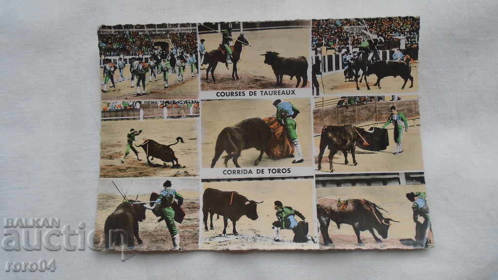 CORRIDA DE TOROS - КРАСИВА П.К.
