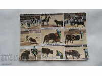 CORRIDA DE TOROS - КРАСИВА П.К.