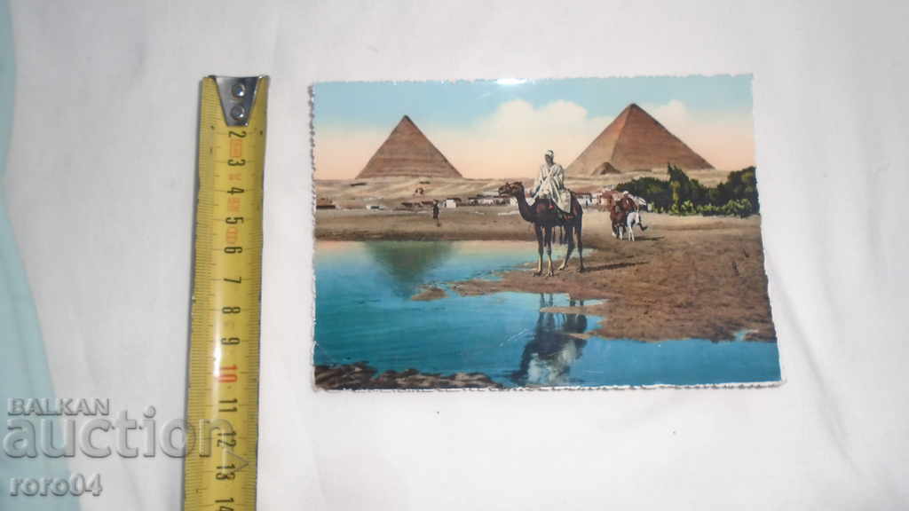 Δημοπρασία ΑΙΓΥΠΤΟΣ - ΟΜΟΡΦΟ PK