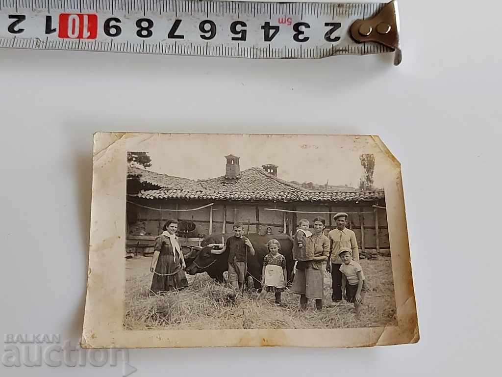 Δημοπρασία ΠΑΛΙΑ ΦΩΤΟΓΡΑΦΙΑ ΦΩΤΟΓΡΑΦΙΑ BUFFALO HARN Δημοπρασία ΠΑΛΙΑ ΦΩΤΟΓΡΑΦΙΑ ΦΩΤΟΓΡΑΦΙΑ BUFFALO HARN