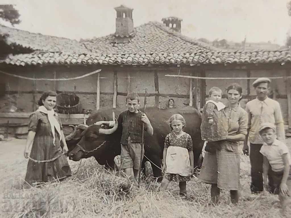 ΠΑΛΙΑ ΦΩΤΟΓΡΑΦΙΑ ΦΩΤΟΓΡΑΦΙΑ BUFFALO HARN ΠΑΛΙΑ ΦΩΤΟΓΡΑΦΙΑ ΦΩΤΟΓΡΑΦΙΑ BUFFALO HARN