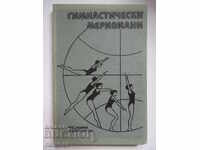 Гимнастически меридиани