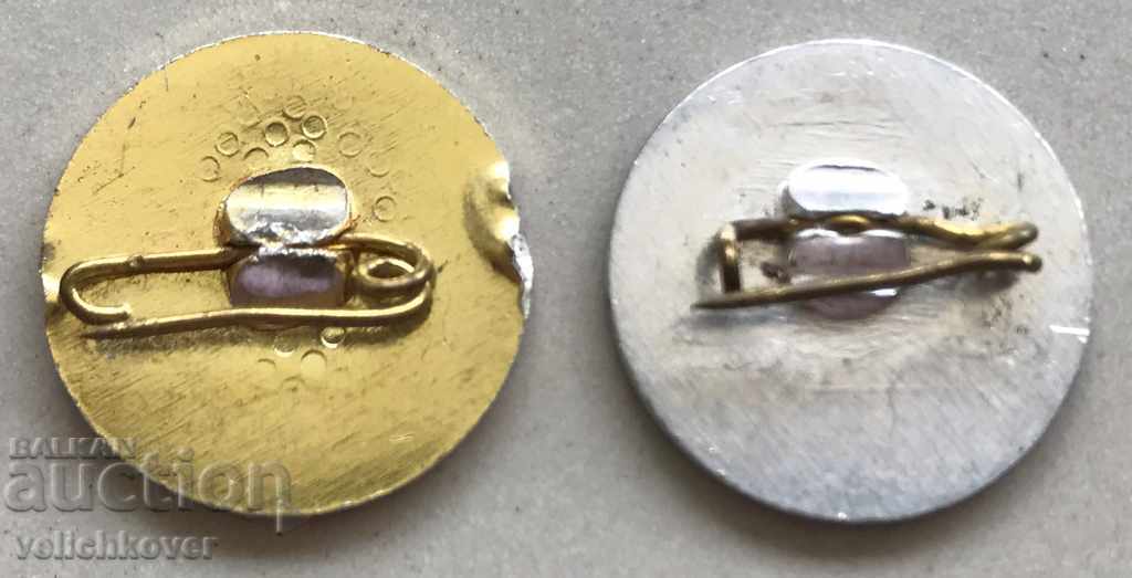 28854 Bulgaria two signs DSO Avtotranspor 1981 with price 5.00 BGN | € 2.56