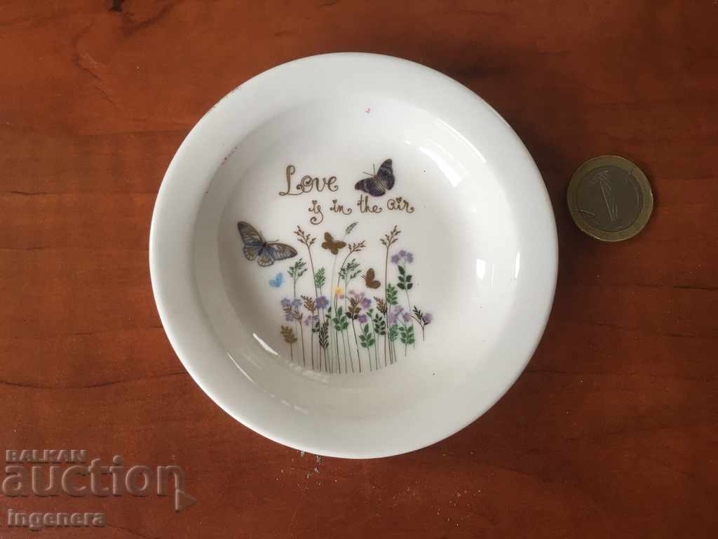 PLATE PLATE PORCELAIN PAINTED