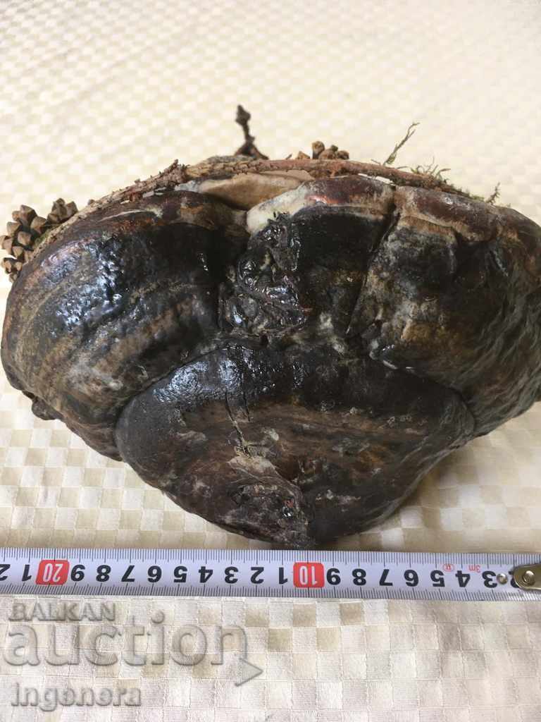 ПАНО КОМПОЗИЦИЯ ЗА СТЕНА - 5 ПАНО КОМПОЗИЦИЯ ЗА СТЕНА - 5