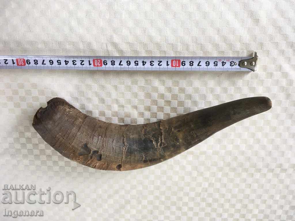 GUNPOWDER OR DECOR HORN with price 18.00 BGN | € 9.20