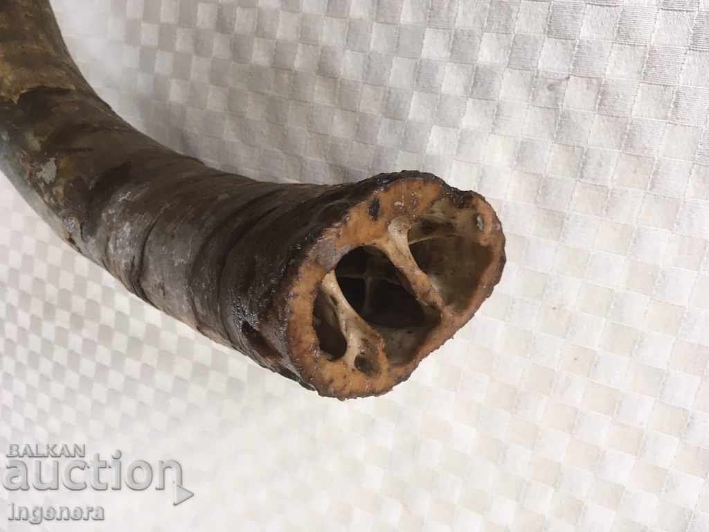 Delivery of GUNPOWDER OR DECOR HORN