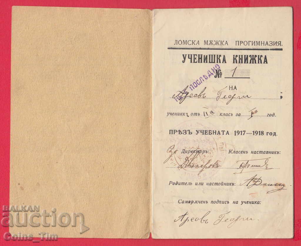 251143  / 1917 Лом Мъжка прогимназия - ученическа кножка